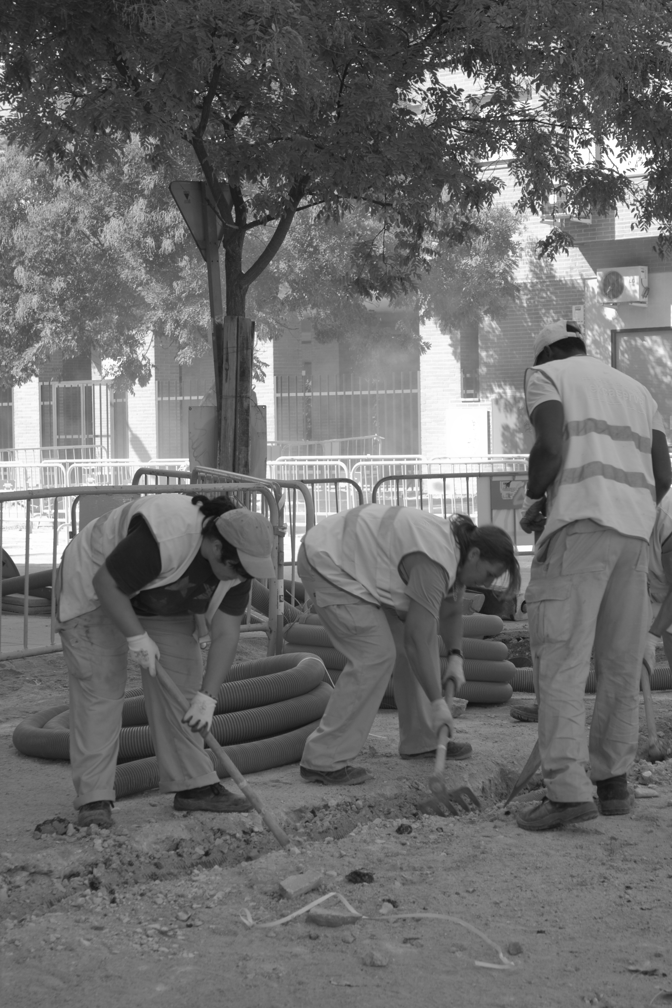 FOTO: Flickr Silviagc